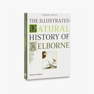 Abbildung von The Illustrated Natural History of Selborne