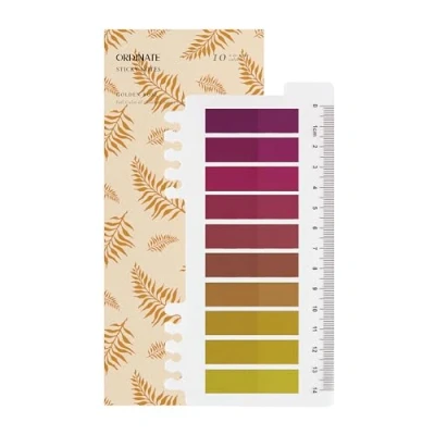 Abbildung von Ordinate 200 Stück Sticky Notes, Transparent Haftnotizen zum Markieren, Haftstreifen, Seitenmarkieren, Ästhetischer Haftnotizzettel, Full Color of Gradient (I Golden Rose)