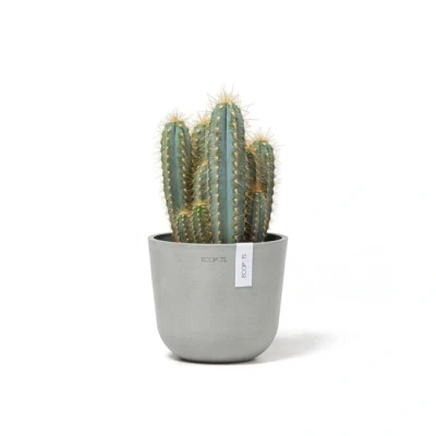 Abbildung von Ecopots Oslo mini 16 cm weiß grau Pflanzentopf/Blumentopf