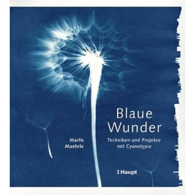 Abbildung von Blaue Wunder Techniken und Projekte mit Cyanotypie