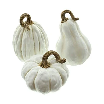 Abbildung von FRANK FLECHTWAREN Kürbis White, im 3er Set, schöne Herbstdeko, ausgefallen, modern