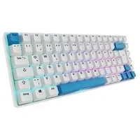 Abbildung von Sharkoon SKILLER SGK50 S3 PBT Tastatur