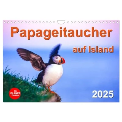 Abbildung von Papageitaucher auf Island (Wandkalender 2025 DIN A4 quer), CALVENDO Monatskalender