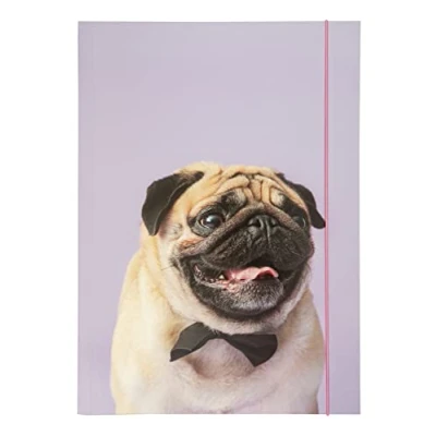 Abbildung von folia 69002 Sammelmappe A3 Basic Puggy Love, aus stabilem Karton mit Gummiband