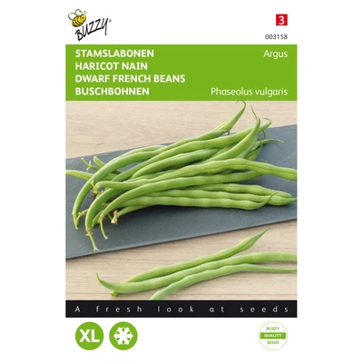 Abbildung von Grüne Bohnen Haricot Vert Argus Samen Buzzy