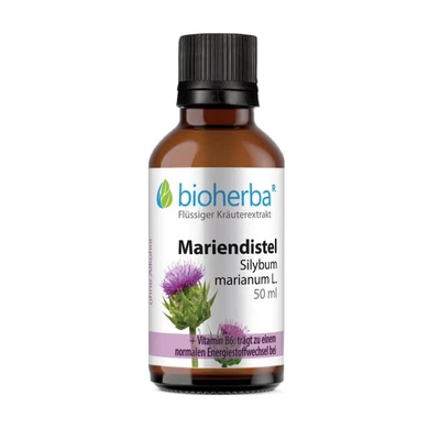 Abbildung von Mariendistel 50 ml