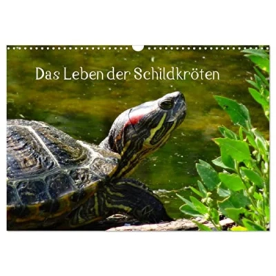 Abbildung von Das Leben der Schildkröten (Wandkalender 2025 DIN A3 quer), CALVENDO Monatskalender