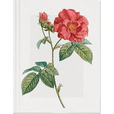 Abbildung von Geschichte der Rose Großes Notizheft Motiv Französische Rose: Format Din A5