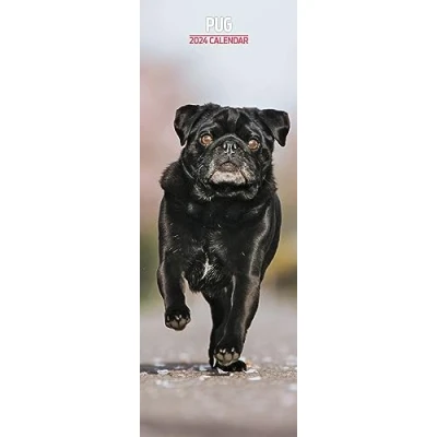 Abbildung von Mops Slim Kalender 2024