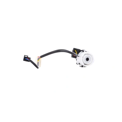 Abbildung von FEBI BILSTEIN 38638 Zünd /Startschalter VOLKSWAGEN: Eos, Golf 5 Variant, Schrägheck, AUDI: A3 TT Coupe, Sportback
