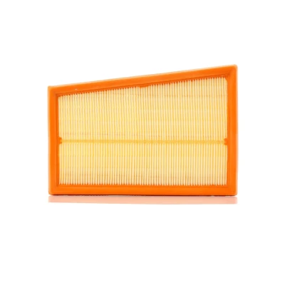 Abbildung von PURFLUX A1317 Luftfilter 59 163 233 Filtereinsatz NISSAN: Qashqai / Qashqai+2 I, X Trail, I Van, RENAULT: Koleos