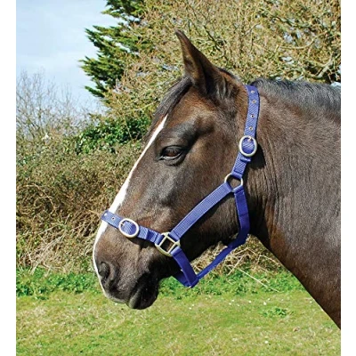 Abbildung von Rhinegold 0 Nylon Headcollar Pony Royal Blue Halfter, königsblau
