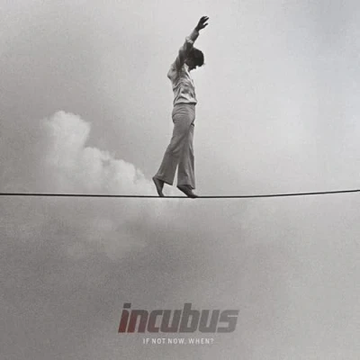 Abbildung von If Not Now, When? [Vinyl LP]