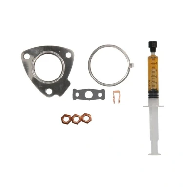 Abbildung von AJUSA JTC11987 Montagesatz, Lader with studs, syringe oil mit Dichtungen Montageanleitung LAND ROVER: Discovery 4