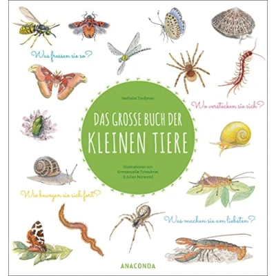 Abbildung von Das große Buch der kleinen Tiere: Wunderschön illustriertes Kindersachbuch ab 7 Jahren. Was fressen sie so? Wie bewegen sich fort? Wo verstecken sich? machen am liebsten?
