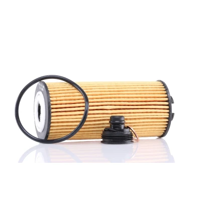 Abbildung von PURFLUX L1045 Ölfilter Filtereinsatz BMW: X1, 2 Active Tourer, Gran MINI: Schrägheck, Clubman, Countryman