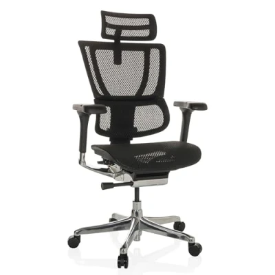 Abbildung von hjh OFFICE Bürostuhl ergonomisch ERGOHUMAN Slim GEN2 Originales Design, Drehstuhl mit Flexibler Lordosenstütze, Netz Schwarz