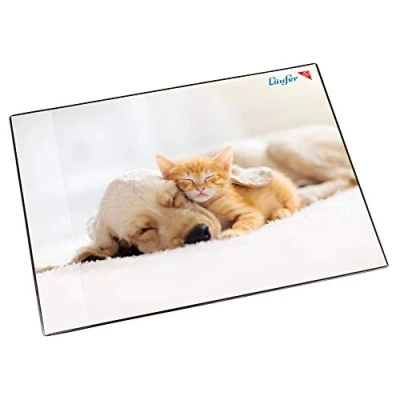 Abbildung von Läufer 46657 Schreibtischunterlage Hund und Katze, 53x40 cm, rutschfeste Schreibunterlage für Kinder, mit transparenter Seitentasche