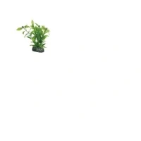 Abbildung von Hobby Aquariendeko Hygrophila, künstliche Pflanze 13 cm