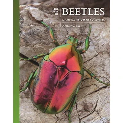 Abbildung von the Lives of Beetles: A Natural History Coleoptera (Lives World)