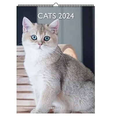 Abbildung von DRAEGER PARIS Dekorativer Wandkalender Katzen 2024 zum Aufhängen 29 x 39 cm 16 Monate 23. September bis 24. Dez 7 Sprachen Bürokalender, Zuhause, monatlich Dekoration, Organisation