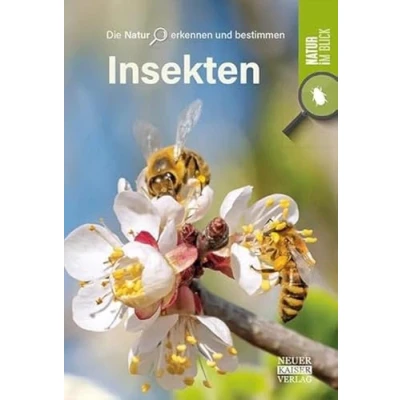 Abbildung von Insekten: Die Natur erkennen und bestimmen im Blick