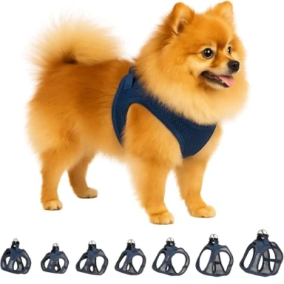 Abbildung von Flamingo Step Go Bento Geschirr Dunkelblau, S (A:30 35 cm, B:37 40 3 mm), Komfortabel und Verstellbar, Ideal für Jack Russell Terrier, Französische Bulldogge, Zwergschnauzer, Mops usw.