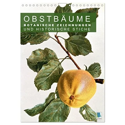 Abbildung von Obstbäume: Botanische Zeichnungen und historische Stiche (Wandkalender 2025 DIN A4 hoch), CALVENDO Monatskalender