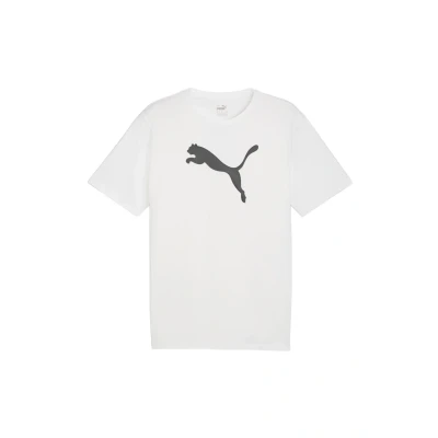 Abbildung von Puma Teamrise LOGO Tshirt print, Herren, Größe: Small, Weiss