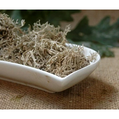 Abbildung von Naturix24 Eichenmoos 1 Kg Beutel