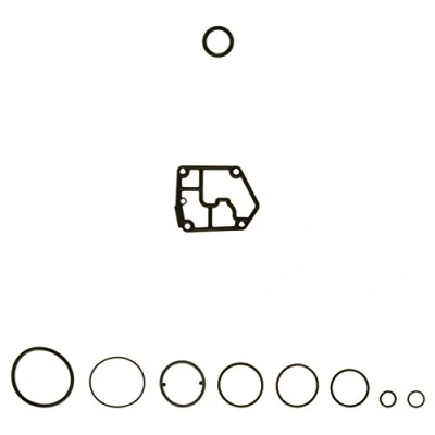 Abbildung von AJUSA 54154100 Dichtungssatz, Kurbelgehäuse AUDI: A3 Schrägheck, Q5, A6 C6 Avant, VOLKSWAGEN: GOLF 6, Scirocco III, Passat B6 Variant