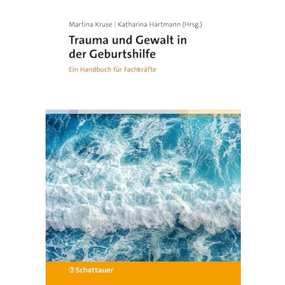 Abbildung von Trauma und Gewalt in der Geburtshilfe: Ein Handbuch für Fachkräfte