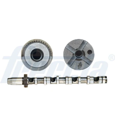 Abbildung von FRECCIA CM05 2190 Nockenwelle Einlassseite AUDI: A4 B7 Avant, A6 C5 B6 VOLKSWAGEN: Passat B5 GP Variant, Limousine
