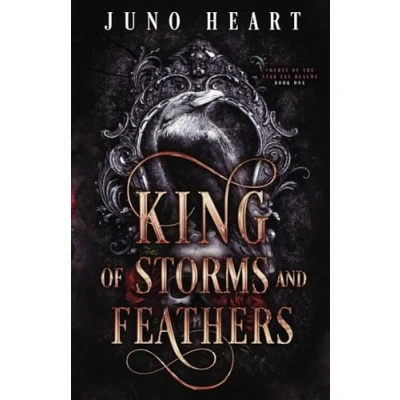 Abbildung von King of Storms and Feathers: A Dark Fae Fantasy Romance (Courts the Star Realms, Band 1)