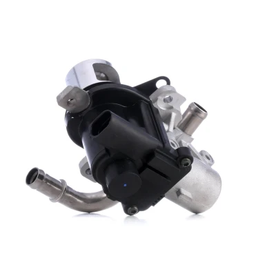 Abbildung von MAGNETI MARELLI 571822112127 AGR Ventil RENAULT: Clio 3, SCENIC 4 Schrägheck, NISSAN: Qashqai / Qashqai+2 I, NV200 Evalia Bus