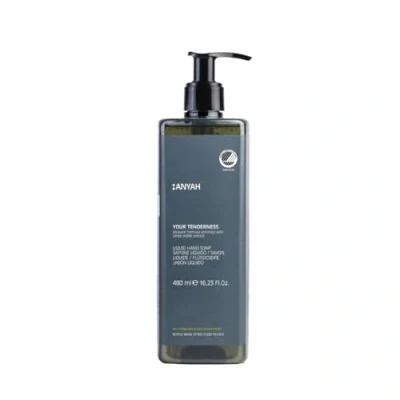 Abbildung von Anyah Flüssigseife 1x480ml Nachfüllbare Sanfte Tägliche mit Weißer Taubnessel Extrakt Handseife Dermatologisch Getestet