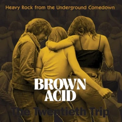 Abbildung von Brown Acid: The Twentieth Trip [VINYL] [Vinyl LP]