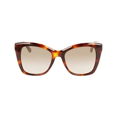 Abbildung von Calvin Klein Sonnenbrille, Damen, Größe: 53, Brown havana