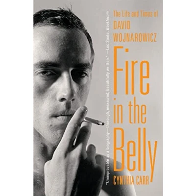 Abbildung von Fire in The Belly: Life and Times of David Wojnarowicz