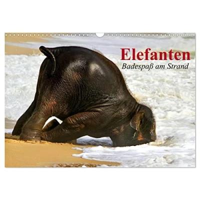 Abbildung von Elefanten. Badespaß am Strand (Wandkalender 2025 DIN A3 quer), CALVENDO Monatskalender