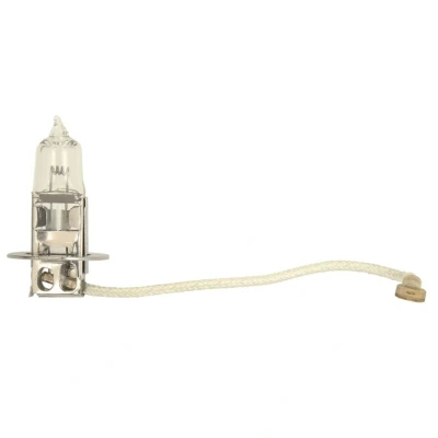Abbildung von BOSCH 1 987 302 431 Glühlampe, Hauptscheinwerfer 24 70 DAF: CF 65