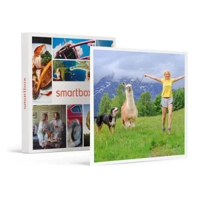 Abbildung von smartbox Geschenkbox 1 stündige Alpaka Wanderung für 2 Personen Originelle Geschenkidee