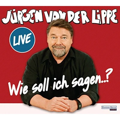 Abbildung von Wie soll ich sagen …