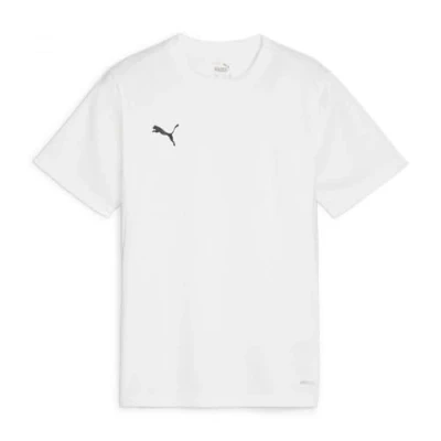 Abbildung von Puma Fussball Teamsport Teamgoal Sport Tshirt für Kinder, Größe: 152, Weissschwarzgrau