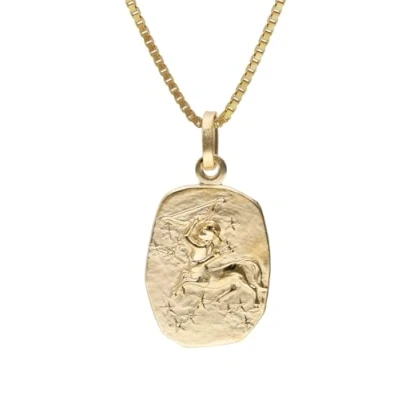 Abbildung von trendor 15382 12 Schütze Sternzeichen Gold 333 mit vergoldeter Silberkette