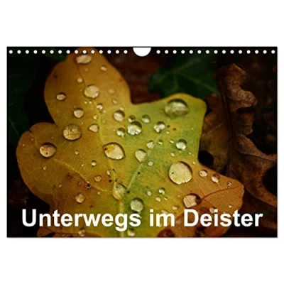 Abbildung von Unterwegs im Deister (Wandkalender 2025 DIN A4 quer), CALVENDO Monatskalender