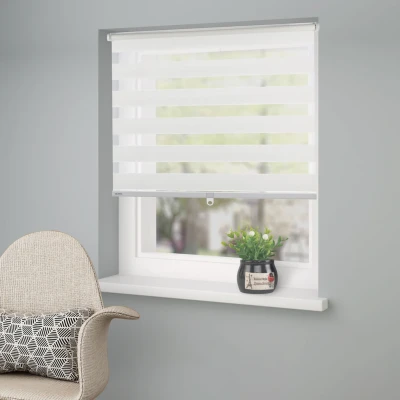 Abbildung von Home affaire Doppelrollo &quot;Jan&quot;, Lichtschutz, Sichtschutz, ohne Bohren, freihängend, Fixmaß, Klemmfix, uni, monochrom, basic, schnurlos, Klemmträger