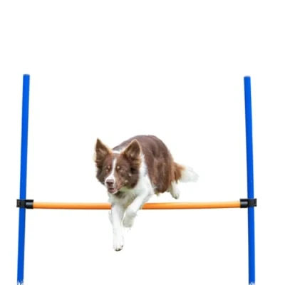 Abbildung von Trixie Agility Hürde