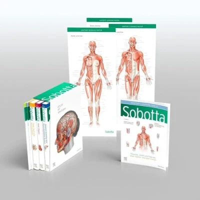 Abbildung von Sobotta Atlas of Anatomy, Package, 17th ed., English/Latin: General Anatomy and Musculoskeletal System; Internal Organs; Head, Neck Neuroanatomy; Muscles Tables; Poster Collection