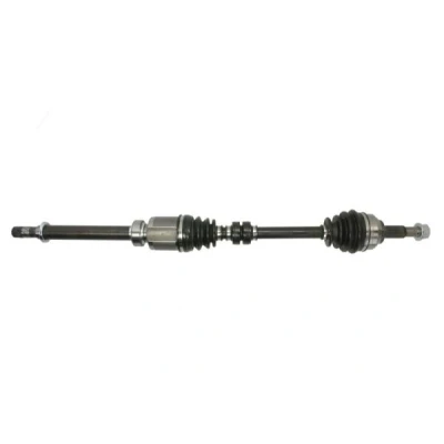 Abbildung von Antriebswelle PASCAL G21025PC